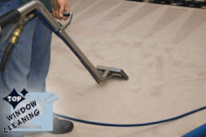 Carpet Cleaning