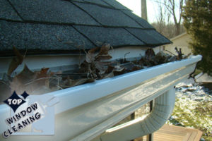 Gutter Cleaning