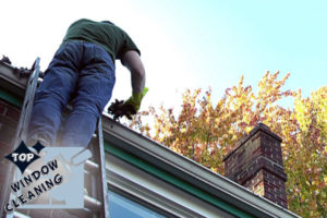 Gutter Cleaning